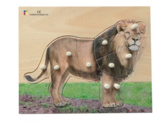Puzzle realistisch Löwe