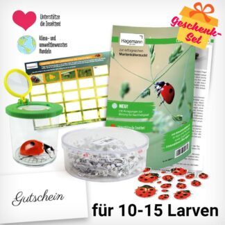 Zuchtset "Marienkäfer"