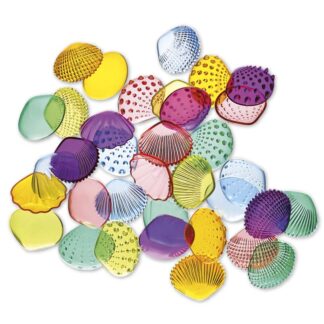 Muschel-Set
