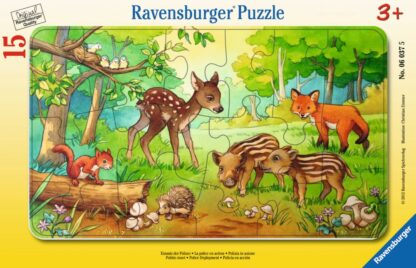 Tierkinder des Waldes