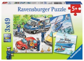 Polizeieinsatz