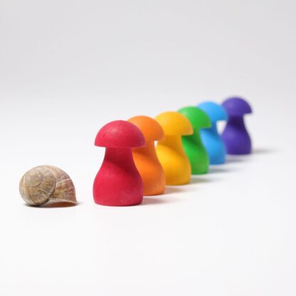 Regenbogen Pilze