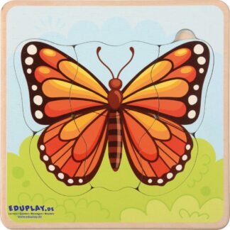 Schmetterling Zyklen