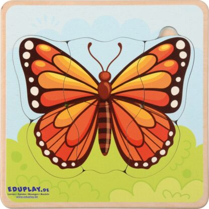 Schmetterling Zyklen