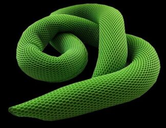 Balance Schlange grün