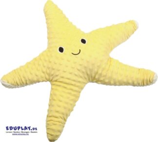 Gewichtstier Seestern