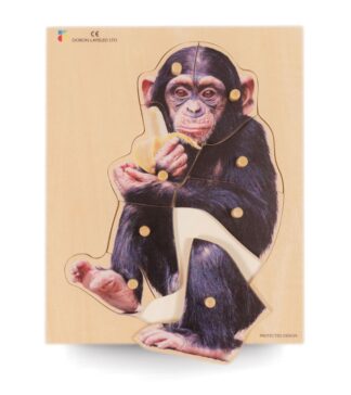 Puzzle real. Schimpanse