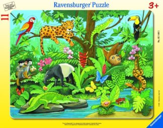 Tiere im Regenwald