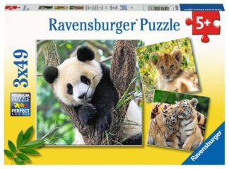 Panda, Tiger und Löwe