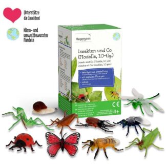 Modell "Insekten & Co."