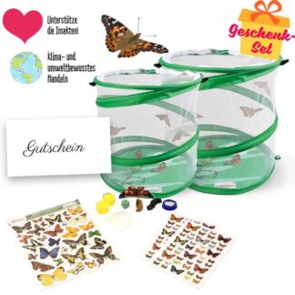 Zuchtset Schmetterlg.10